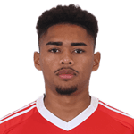 Victor Gabriel da Conceição Ribeiro