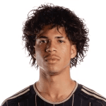 David Enmanuel Martínez Morales