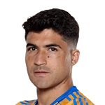 Nicolás Alejandro Ibáñez