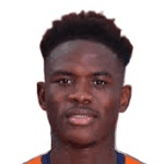 Wilfried Chancy Ndollo Bille