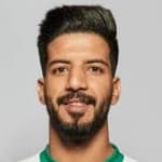 Alaa Abbas Abdulnabi