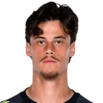 Svilar