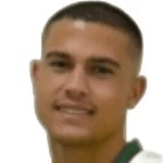 Vinícius Baracioli