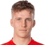 Casper Ludvig Widell